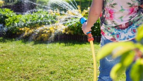 Landscaping Adds Value to Your Property
