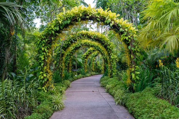 Landscaping: The Best Idea You’ve Ever Had